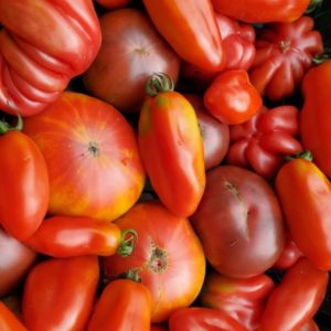 Tomate ancienne