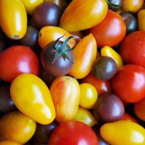 Tomate cerise
