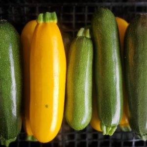 Courgettes longues couleurs